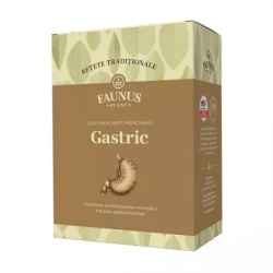 CEAI RETETE TRADITIONALE GASTRIC 180GR