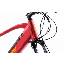 Drumet dinamic m 29'' rosu galben - Img 19