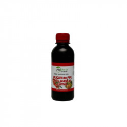 ELIXIR PULMONAR MG.PIN,PATLAGINA&CATINA 200ML