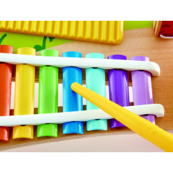 HAPE JUCARIE MUZICALA - Img 6