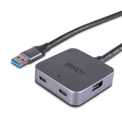Hub Lindy 4 Port USB 3.0 5m - Img 1