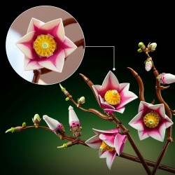 LEGO BOTANICALS RAMURI DE MAGNOLIE 11510 - Img 5
