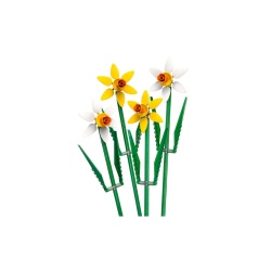 NARCISE, LEGO® 40747 - Img 3
