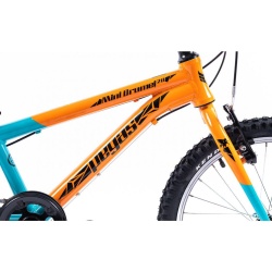 PEGAS MINI DRUMET 20'' PORTOCALIU TURCOA - Img 4