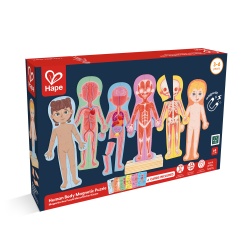 Puzzle magnetic pentru copii - Corpul uman (68 piese) - Img 3