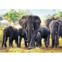 PUZZLE TREFL 1000 ELEFANTI AFRICANI - Img 2