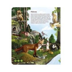 Raspundel Istetel, carte Lumea animalelor - Img 2