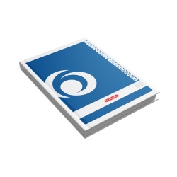 REGISTRU REPERTOAR A4 200F DICTANDO