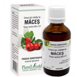 Rosa canina (maces) 50ml plantmed