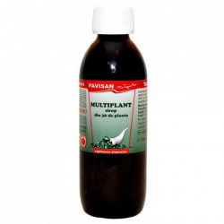 SIROP MULTIPLANT 250ml FAVISAN