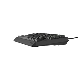 Tastatura Genesis Thor 230 TKL R negru - Img 10