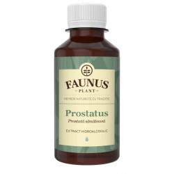TINCTURA PROSTATUS 200ML (PROSTATA SANATOASA)