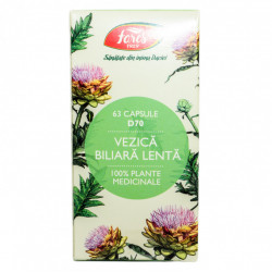 Vezica biliara lenta 63cps fares
