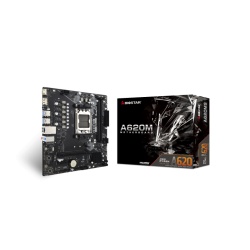 Biostar A620MS motherboard