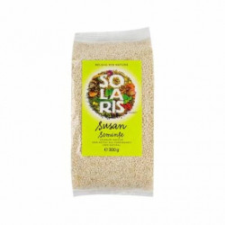 CONDIMENT-SUSAN SEMINTE 300gr SOLARIS