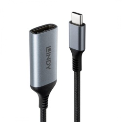 Converter Lindy C to DisplayPort 8K60