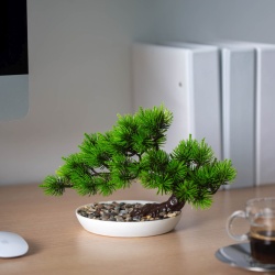 Decor plante artificiale - pin negru japonez - 25 x 18 cm - Img 1