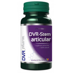 Dvr stem articular 60cps
