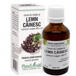 EXTRACT DIN MLADITE DE LEMN CAINESC 50ML