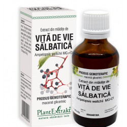 EXTRACT DIN MLADITE DE VITA DE VIE SALBATICA 50ML