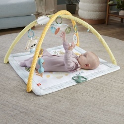 FISHER PRICE SALTELUTA DE GIMNASTICA PENTRU NOU NASCUTI - Img 6