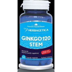 GINKGO 120 STEM 60CPS VEGETALE