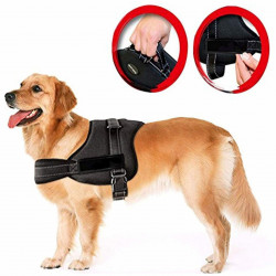Ham pentru caini SENIOR DOG S (60 - 75cm) - Img 4