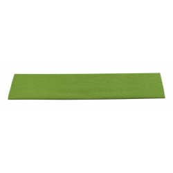 Hartie creponata hobby 50x200cm verde deschis
