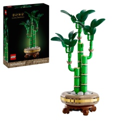 LEGO BOTANICALS BAMBUS NOROCOS 10344 - Img 12