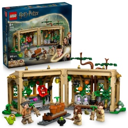 LEGO HARRY POTTER CASTELUL HOGWARTS LECTIA DE IERBOLOGIE 76445 - Img 6