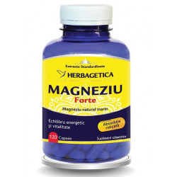 MAGNEZIU FORTE 120CPS