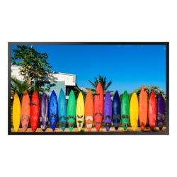 Monitor Outdo/Window Signage SAMSUNG 55"