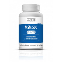 MSM 500 60CPS