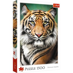 PUZZLE TREFL 1500 PORTRET TIGRU - Img 1