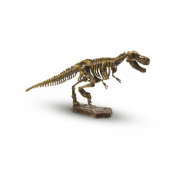 Set de arheologie pentru copii cu dinozaur - Img 2