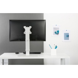 Suport dublu mon. birou NM 10"-30" 6 kg - Img 12