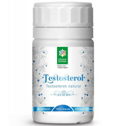 TESTOSTEROL 90cps SANTO RAPHAEL