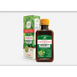 TINCTURA CRETISOARA 200ML
