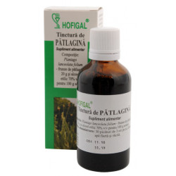 TINCTURA PATLAGINA 50ML