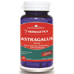 ASTRAGALUS 500MG 30CPS