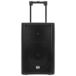 BOXA PORTABILA 12''/31CM 250W RMS TWS CU BT/USB + 2 MIC WIRELESS - Img 8