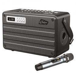 Boxa portabila all in one 100w uhf bt/usb/msd/aux - Img 1