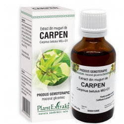 Carpinus betulus (carpen) 50ml plantmed