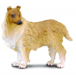 Collie cu par sarmos L Collecta