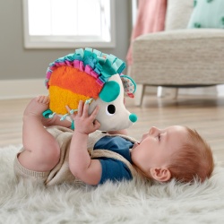 FISHER PRICE ARICIUL CU ACTIVITATI SENZORIALE - Img 3