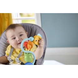 FISHER PRICE JUCARIE SENZORIALA CU VENTUZA - Img 4