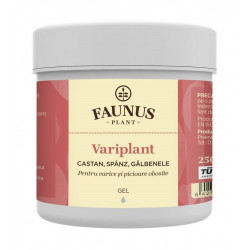 GEL VARIPLANT 250ML (CASTAN,SPANZ&GALB.)