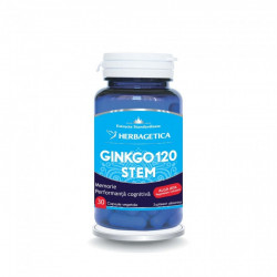 GINKGO 120 STEM 30CPS VEGETALE