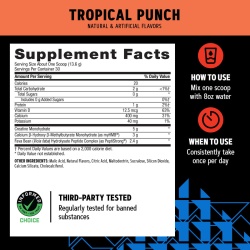 Gnc Amp Creabolic, Formula Premium De Creatina Monohidrata, Hmb, Peptistrong Pentru Forta Si Masa Musculara, Cu Aroma De Fructe Tropicale, 408 G - Img 2