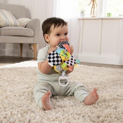 LAMAZE-ALBINUTA BUZZY - Img 4